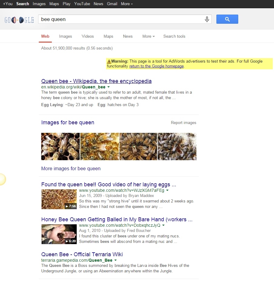 Results in Google preview tool